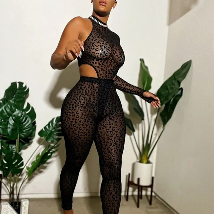 FS3221D Sexy Leopard Print 2 Pieces Mesh bodysuits and Pants Set Lady One Sleeve Transparent outfits
FS3221D Sexy Leopard Print 2 Pieces Mesh bodysuits and Pants Set Lady One Sleeve Transparent outfits
