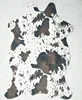 /product-detail/classic-brindle-cowhide-rug-on-sale-110x75-cm-62237011517.html