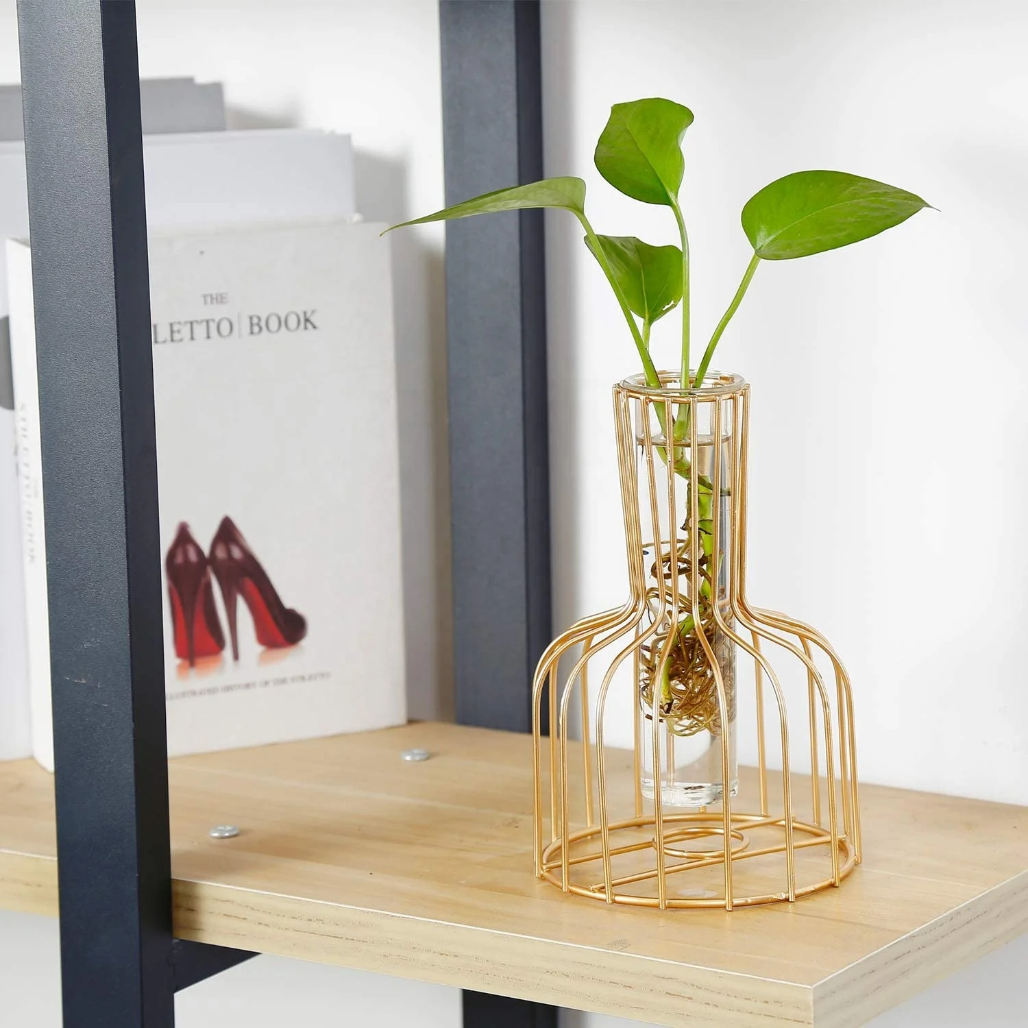 Adjustable Modern Indoor Plant Holder Garden Stands for Plants in Gold Color Plant Stand Metal Flower Stand For Table Display, Customized
Adjustable Modern Indoor Plant Holder Garden Stands for Plants in Gold Color Plant Stand Metal Flower Stand For Table Display, Customized