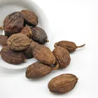 Fruit Herb Cao Guo Origin Spices Tsaoko Amomum Fruit