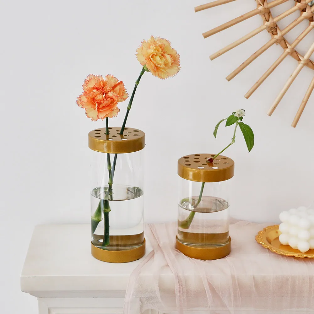 Nordic Home Decoration Transparent Glass Vase Table Decoration accessories Living Room decoration Vases for Flowers Gifts
Nordic Home Decoration Transparent Glass Vase Table Decoration accessories Living Room decoration Vases for Flowers Gifts