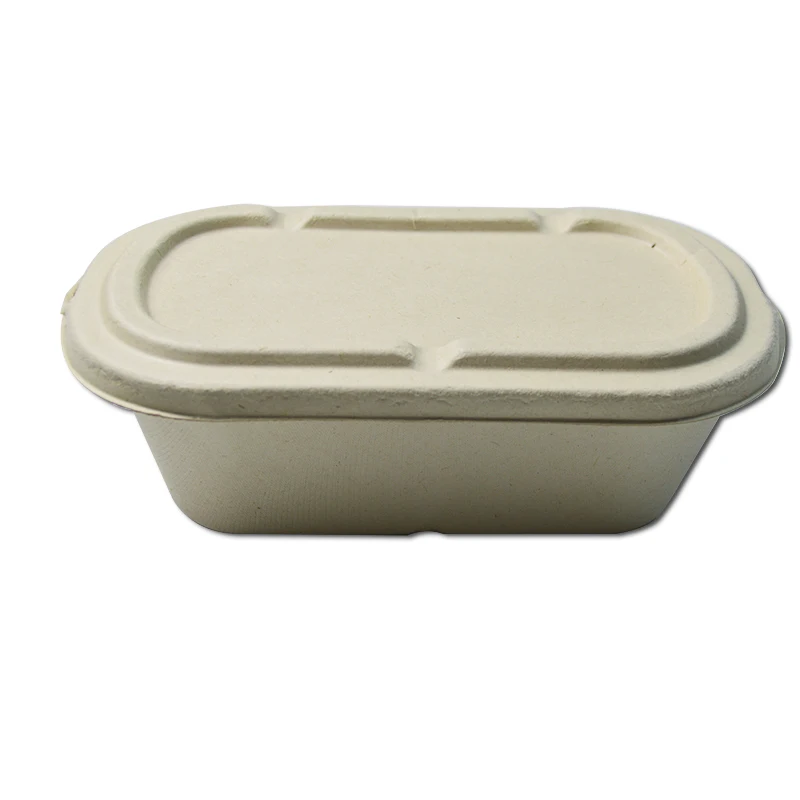2020 Hot Selling Fast Food Box Disposable Paper Tableware Sets Eco Friendly Sugarcane Bagasse Tableware
2020 Hot Selling Fast Food Box Disposable Paper Tableware Sets Eco Friendly Sugarcane Bagasse Tableware