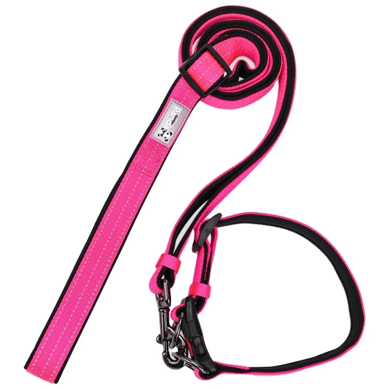 Golden panda double d buckle adjustable pet collar dog collar reflective nylon good product cloth foam dog collar
Golden panda double d buckle adjustable pet collar dog collar reflective nylon good product cloth foam dog collar