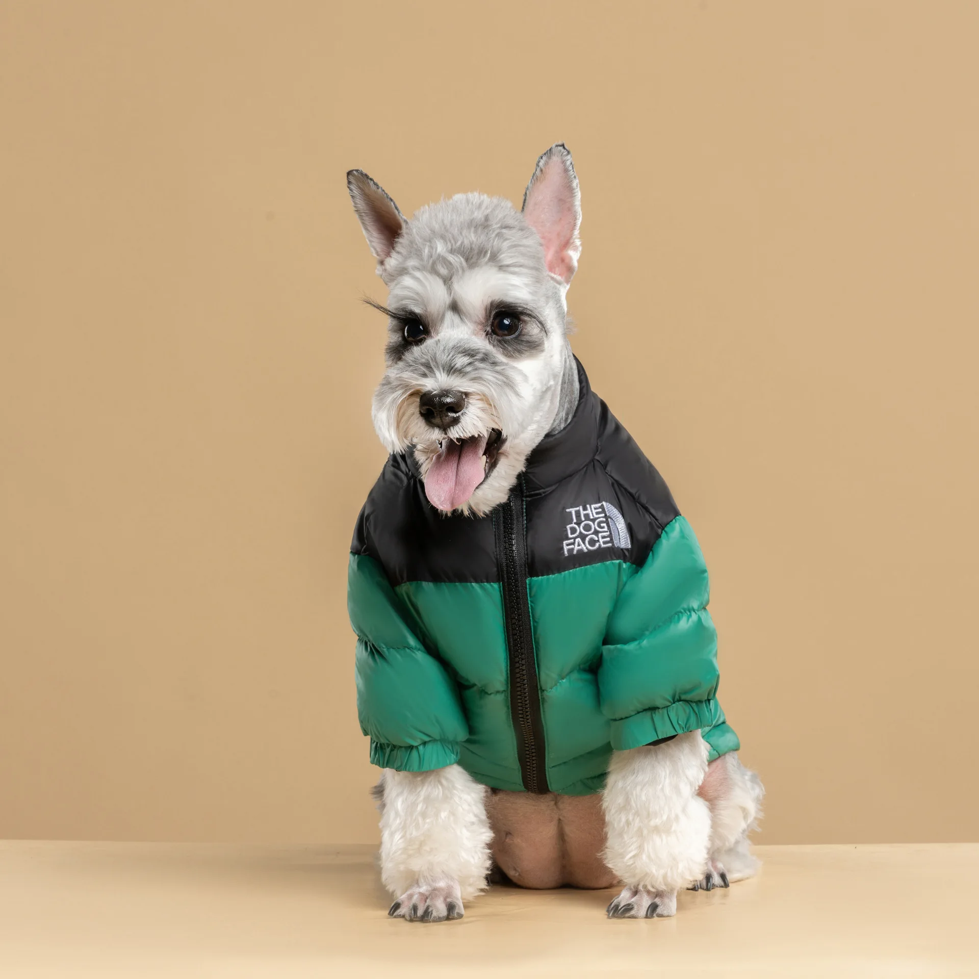 The Dog Face designer luxury winter cotton pet warm dog coat, Black,green,orange,pink
The Dog Face designer luxury winter cotton pet warm dog coat, Black,green,orange,pink