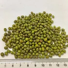 Green Beans Green Price For Green Mung Beans Chinese Dried Green Mung Beans For Human Consumption