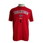 Custom short sleeve 100% cotton men's t-shirt with applique embroidery casual t-shirt