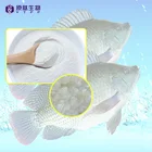 Chinese manufacturer hot sale pack high quality soluble vegan fish collagen peptides hydrolyzed 100% pure