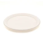 Disposable Plate Professional Manufacture Biodegradable Disposable Bagasse Tableware Large Oval Plate