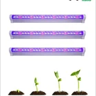 Full Spectrum LED Grow Light 5W 9W 12W 18W 24W Power Supply Desktop Plant Growth Light For Flower Plant Lamp