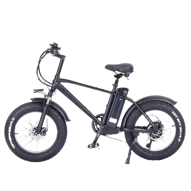 750W 48V54V big power Fat tire electric Mountain E bike Snow E bike EU Warehouse electric bike
750W 48V54V big power Fat tire electric Mountain E bike Snow E bike EU Warehouse electric bike