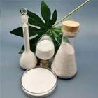 China Wholesale Fast Delivery HPMC Used as Dispersing Agent