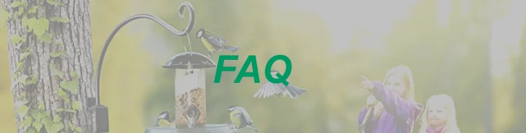 FAQ.png