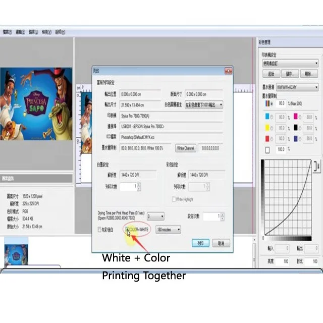 Partner ACRORIP 9.0.3 White Ink Printing Software UV Printer DTG PET Printing Machine Software
Partner ACRORIP 9.0.3 White Ink Printing Software UV Printer DTG PET Printing Machine Software