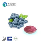 Hot Saling 100% Pure natural Blueberry Extract/Bilberry extract, Green Healthy Fruit Powder