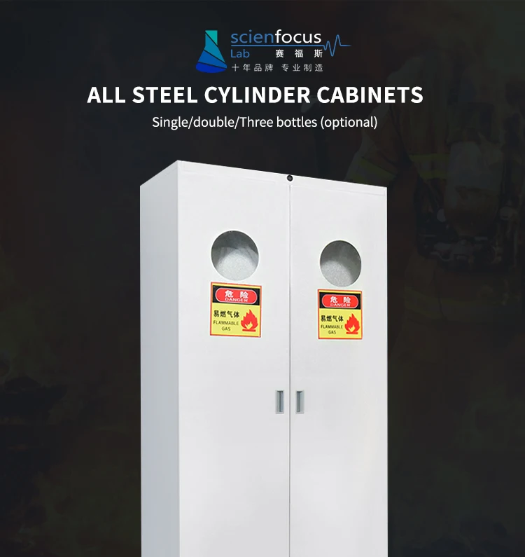 Hot Sale All Steel Gas Cylinder Cabinet for Laboratory Lab Furniture/