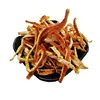 Chen pi Wholesale Herbal Dried Fruit Medicine Good Quality Raw herb orange sweet peel