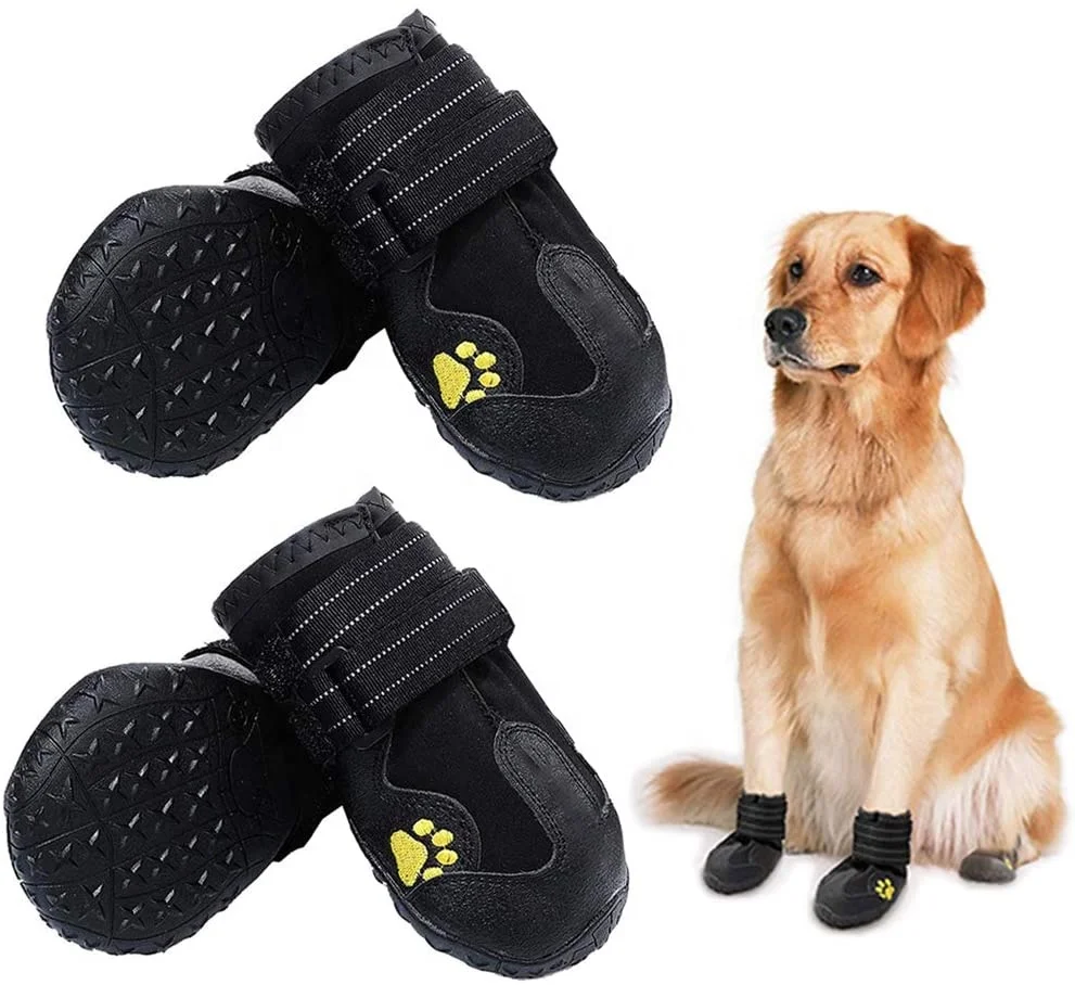 Amazon hot selling Waterproof Dog Shoes Booties with Reflective Rugged Anti-Slip Sole and Skid-Proof Outdoor Dog Shoes
Amazon hot selling Waterproof Dog Shoes Booties with Reflective Rugged Anti-Slip Sole and Skid-Proof Outdoor Dog Shoes