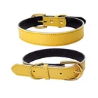 Dog Collar Wholesale Pet Accessories Genuine Luxury Plain Leather Dog Collar