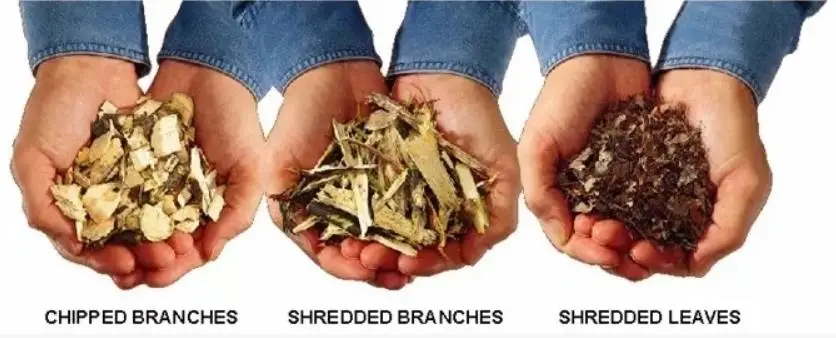 shredder.jpg