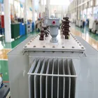 Low Loss ZTELEC 5kva 20 mva 80 mva Single Phase Oil Power Transformer Price
