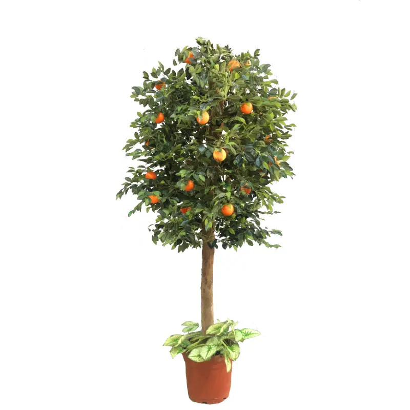9 Ft Height Green Ornamental Fuits Plants Artifical Lemon Tree Trees In Pot For Home Decorative
9 Ft Height Green Ornamental Fuits Plants Artifical Lemon Tree Trees In Pot For Home Decorative