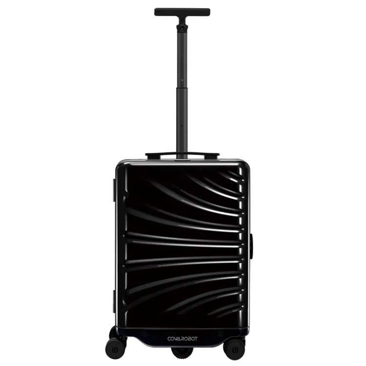 scooter luggage  (6).png