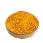 Bulk USP Standard Turmeric Powder 95% Customized Curcumin Extract