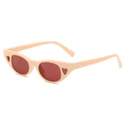 2020 Cute Sexy Women Sunglasses Cat Eye Sunglasses Women Wholesale