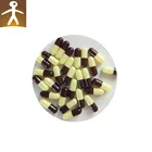 hollow HPMC vegetable hard capsules transparent size 0 with super quality