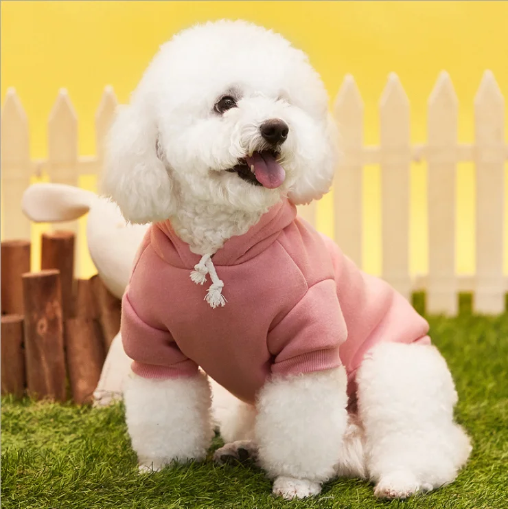 2021 pet clothes spring, autumn and winter new multicolor dog coat pet apparel thickened hooded sweater warm clothing, Any color
2021 pet clothes spring, autumn and winter new multicolor dog coat pet apparel thickened hooded sweater warm clothing, Any color