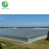 /product-detail/agriculture-flower-vegetable-plastic-film-greenhouse-with-inside-shadow-system-62119920016.html