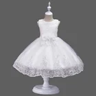 Hot Sale Lovely Kids Clothing Lace Flower Girls Dress For Wedding Party