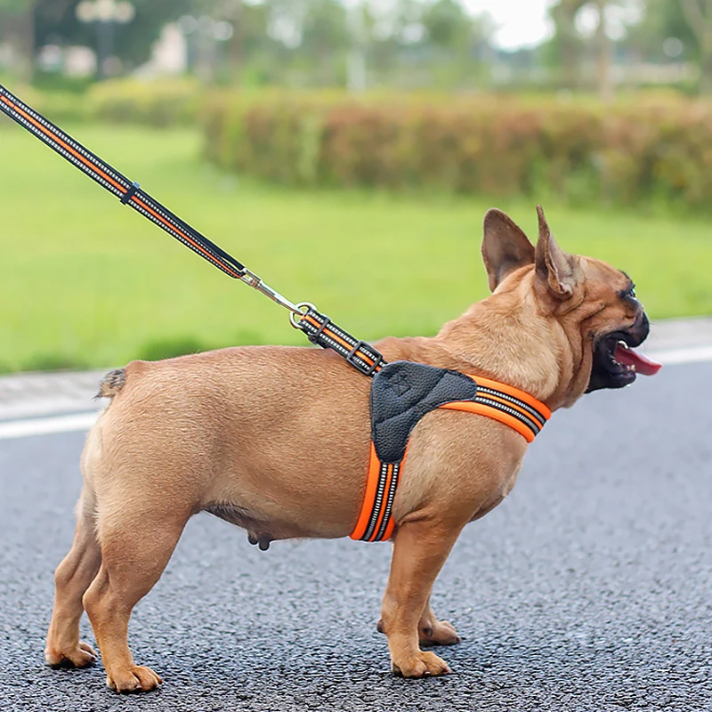 Easy Control Outdoor Training Reflective Adjustable No Pull Pet Vest Dog Harness Soft Dog Pet Leash And Harness With Handle, Black,blue,orange,green
Easy Control Outdoor Training Reflective Adjustable No Pull Pet Vest Dog Harness Soft Dog Pet Leash And Harness With Handle, Black,blue,orange,green