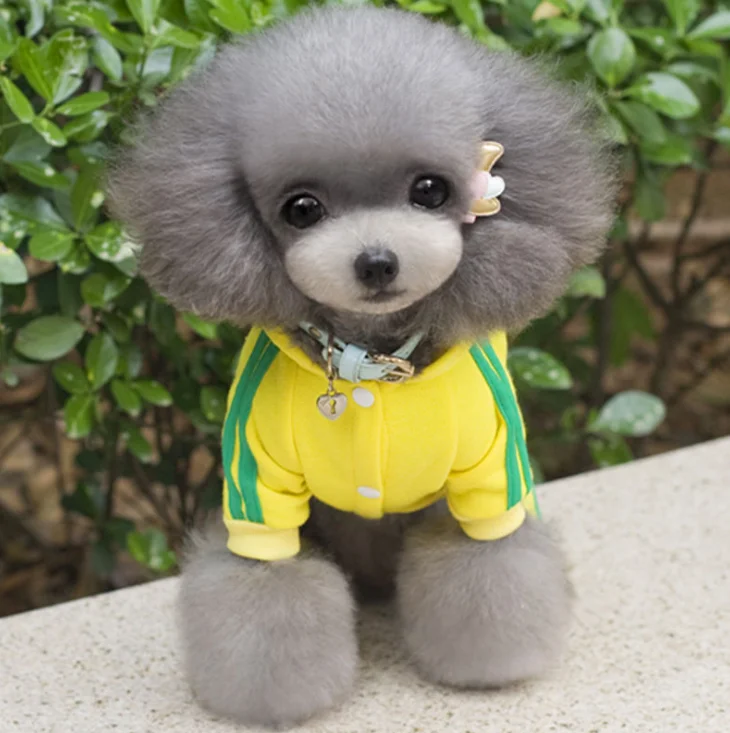 Wholesale high quality dog sweater pet clothes pet clothing dog clothes, Black,red,yellow,pink,blue,grey
Wholesale high quality dog sweater pet clothes pet clothing dog clothes, Black,red,yellow,pink,blue,grey