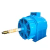 generator for hydroelectric power station/power plant