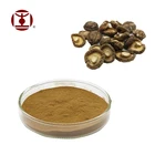 Lentinus Edodes Shiitake Mushroom Dual Extract Polysaccharide Powder
