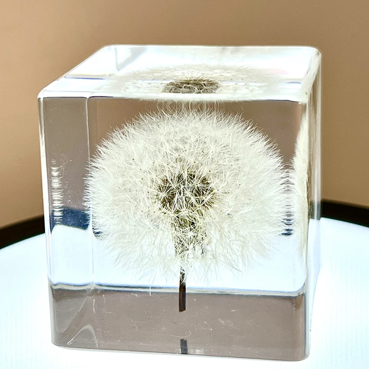 Factory wholesale resin crafts epoxy crystal clear real Dandelion paperweight resin flower paperweight
Factory wholesale resin crafts epoxy crystal clear real Dandelion paperweight resin flower paperweight