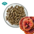 Reishi Mushroom Extract Capsules Reishi Extract for Immune Support