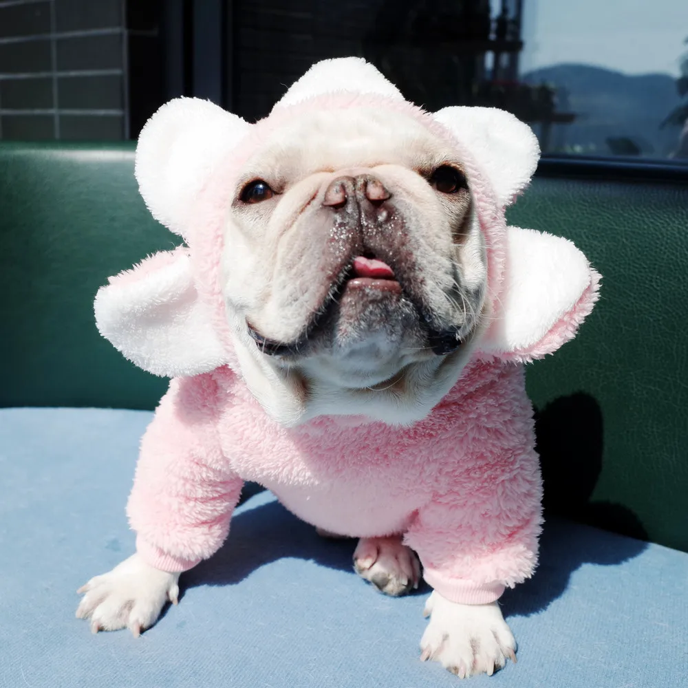 Pet Clothes Dog Flower Pink Hoodie For Fighting Sunflower Clothes Double-sided Velvet Pets Hoodie
Pet Clothes Dog Flower Pink Hoodie For Fighting Sunflower Clothes Double-sided Velvet Pets Hoodie