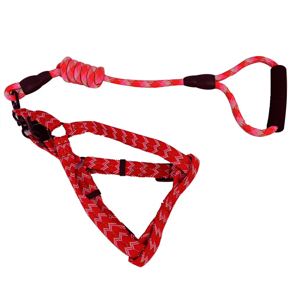 Factory direct new pet collar and leash size can be adjusted, strong and durable for dogs
Factory direct new pet collar and leash size can be adjusted, strong and durable for dogs
