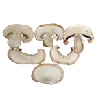 Dried sliced white champignon mushroom