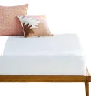 Waterproof Anti Gsm Technics Mattress Protector for Cozy Sleep