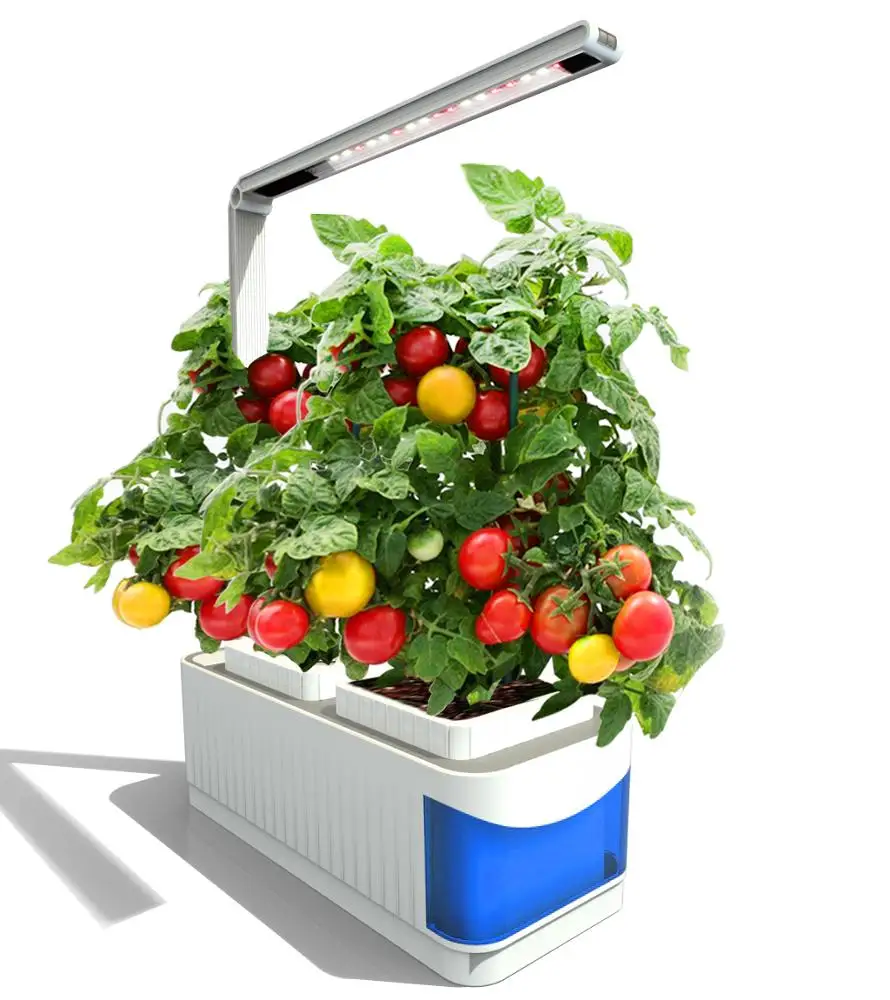Hot sell 2020 New Modern Design Automatic Hydroponic Plant Growth Machine LED Grow Lights Indoor Smart Garden For Home Office, Blue
Hot sell 2020 New Modern Design Automatic Hydroponic Plant Growth Machine LED Grow Lights Indoor Smart Garden For Home Office, Blue