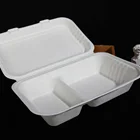 Packaging Packaging Packaging 9x6 2-compartment Compostable Food Packaging Biodegradable Takeaway Box
