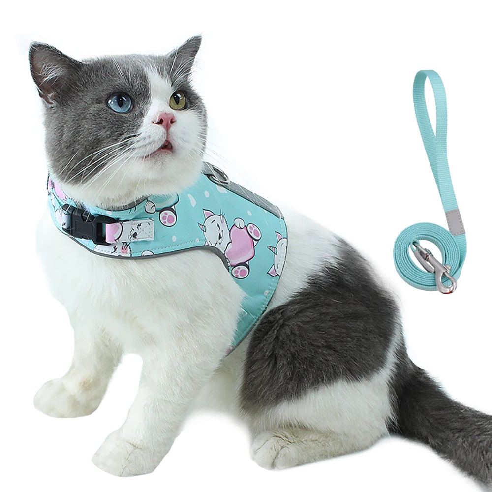 Fashion Comfortable Air Mesh Collar Cotton Mesh Flower Designer Cat Harness Adjustable With Leash Set
Fashion Comfortable Air Mesh Collar Cotton Mesh Flower Designer Cat Harness Adjustable With Leash Set