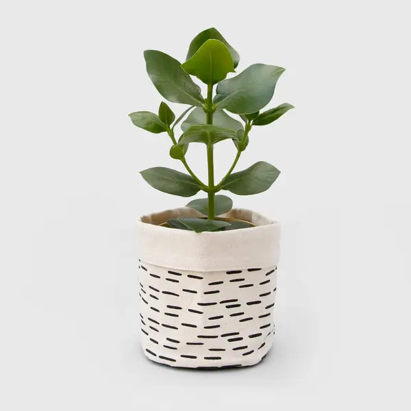 High Quality Cotton Canvas Plant Basket Indoor Flower Pot Cover for Home Decoration, Customized
High Quality Cotton Canvas Plant Basket Indoor Flower Pot Cover for Home Decoration, Customized