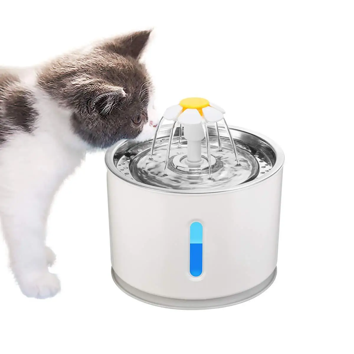 Pet Cat Water Fountain Stainless Steel LED Automatic Pet Fountain Dog Water Dispenser, Blue
Pet Cat Water Fountain Stainless Steel LED Automatic Pet Fountain Dog Water Dispenser, Blue