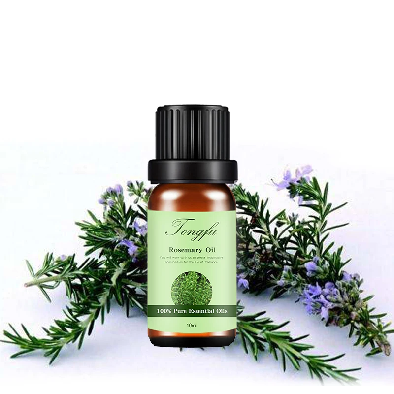Top quality Natural SPA Massage Oil Rosemary Essential Oil 100% Pure Rosemary Oil For Skin Care Hair
Top quality Natural SPA Massage Oil Rosemary Essential Oil 100% Pure Rosemary Oil For Skin Care Hair
