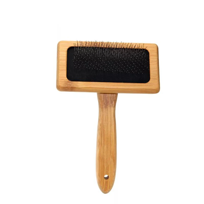 Bamboo Pet Brush Bamboo Products Long Bristle Brush For Dog And Grooming, Customized
Bamboo Pet Brush Bamboo Products Long Bristle Brush For Dog And Grooming, Customized