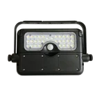High quality 5W LED solar flood light with double sensor and photocell for garden light